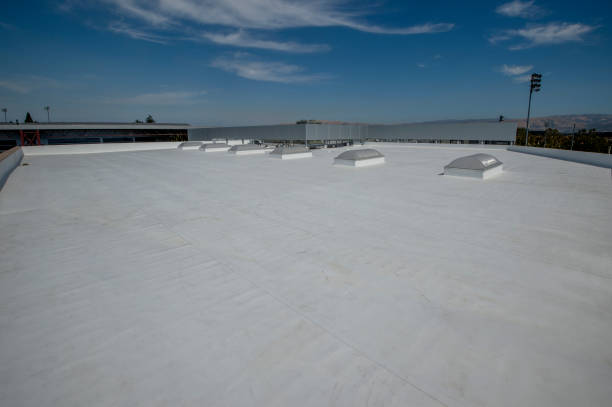 Best Green or Eco-Friendly Roofing Solutions  in South Waverly, PA