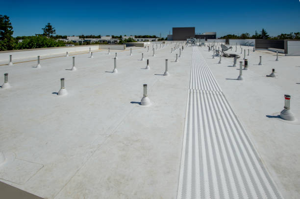 Best Rubber Roofing (EPDM, TPO)  in South Waverly, PA